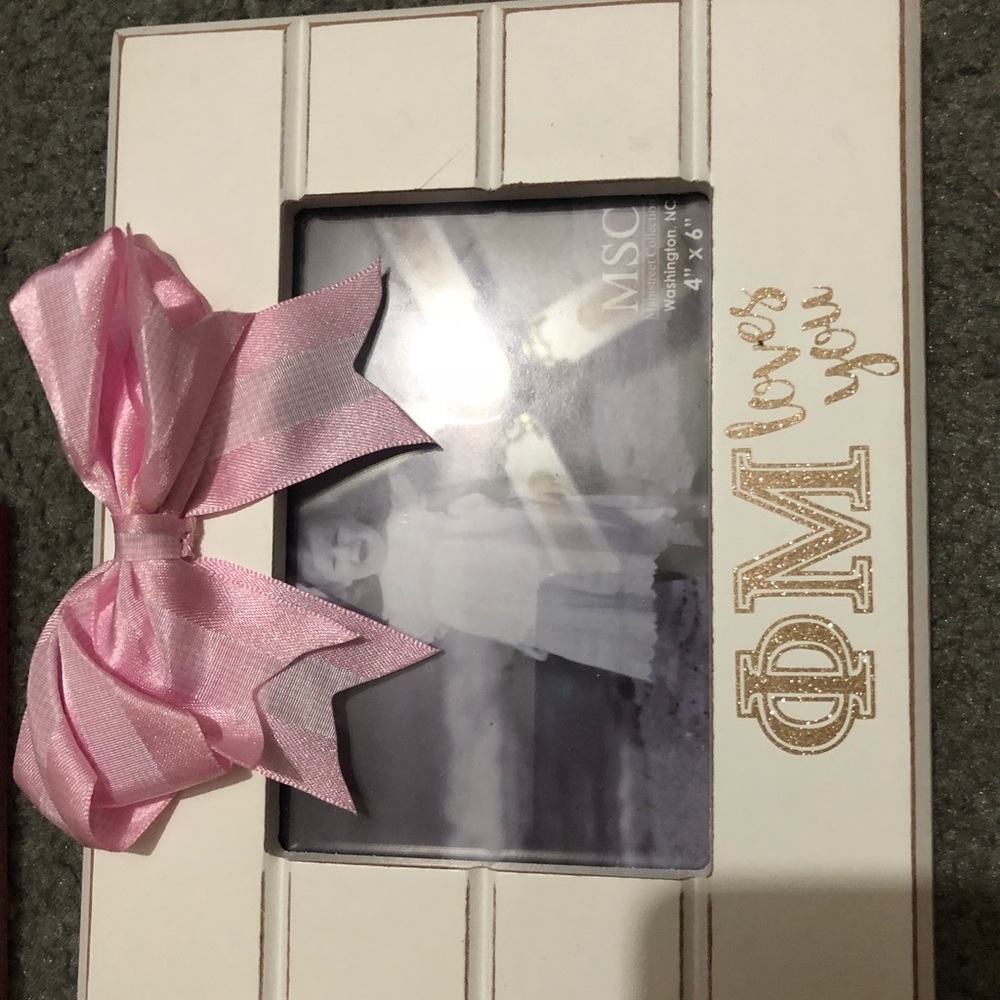 Phi Mu picture frames